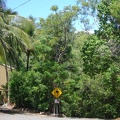 von Carins nach Brisbane090