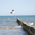 Ostsee-2008 0098
